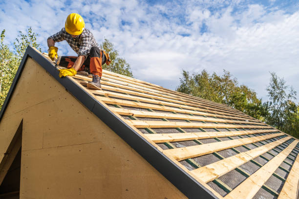 Best Metal Roofing Contractor  in Punaluu, HI