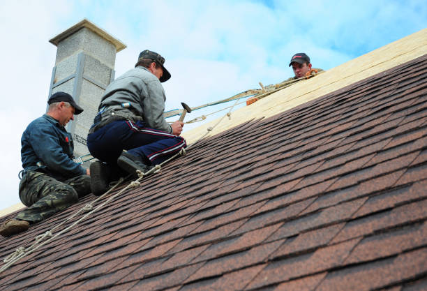 Best Emergency Roof Repair  in Punaluu, HI
